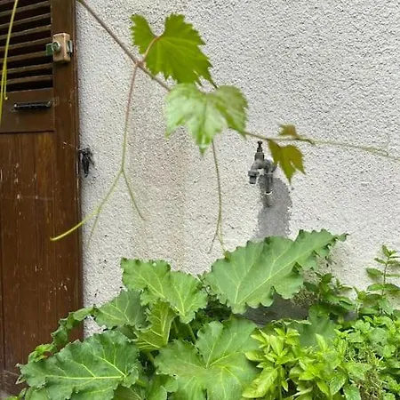 Garden In The City - Train Station/city Center Apartament Grenoble
