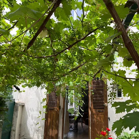 Apartament Garden In The City - Train Station/city Center