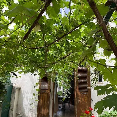 Garden In The City - Train Station/city Center Grenoble